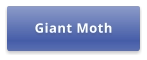 Giant Moth