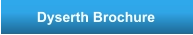 Dyserth Brochure