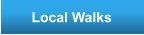 Local Walks