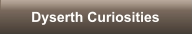 Dyserth Curiosities