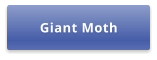 Giant Moth