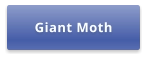 Giant Moth