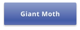 Giant Moth