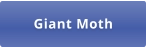Giant Moth