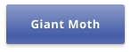 Giant Moth
