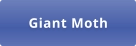 Giant Moth